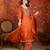 Rust embroidered silk blend 3-piece suit set