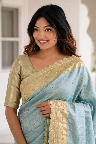 dreamy powder blue c-pallu embroidery work & cutwork arco border kanjivarm silk blend indian saree