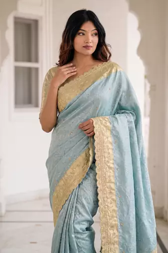 dreamy powder blue c-pallu embroidery work & cutwork arco border kanjivarm silk blend indian saree