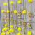 handmade yellow genda door hanging with parrot design for home decoration pack of 4