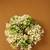Artificial white & greenery floral gajra with pearl accents