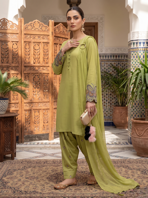Women's light olive ethnic suit with embroidered sleeves 2