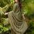 Mehendi embroidered gold silk straight sharara salwar suit set with foule print dupatta