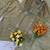 Women's light green silk blend embroidered kurta set with palazzo and dupatta