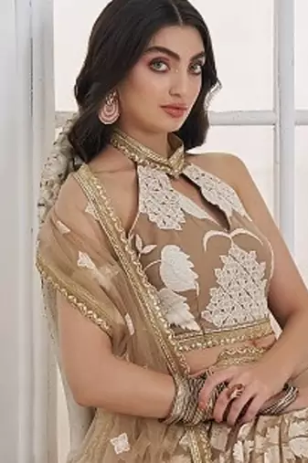 Beige Festive Wear Net Sequin Thread Embroidery Lehenga Choli Set