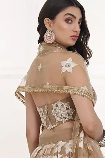 Beige Festive Wear Net Sequin Thread Embroidery Lehenga Choli Set