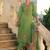 Floral Embroidered Thread Work Pure Cotton Kurta with Trousers & With Dupatta