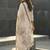 Women Floral Printed Regular Linen Kurta with Trousers & With Dupatta