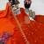 orange color sequin embroidery silk blend gown set