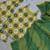 yellow color digital print and embroidery sequin work silk blend top palazzo set