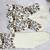 White floral printed slub cotton kurta pant set with lining