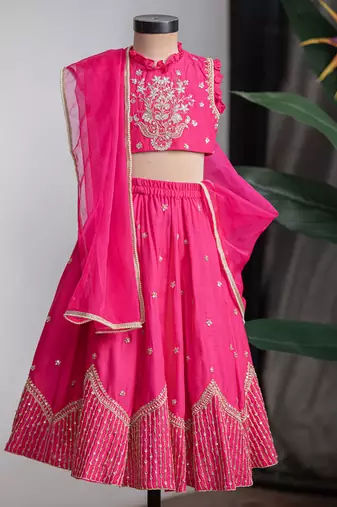 Rani pink embroidered dola silk lehenga set