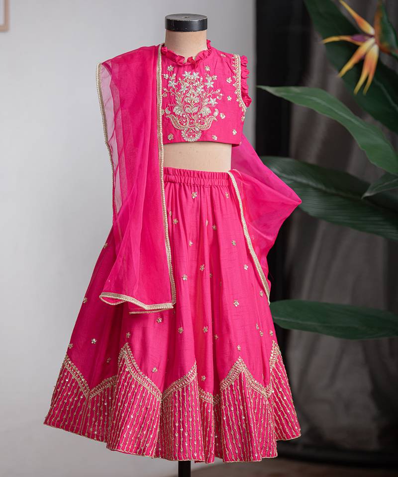 Rani pink embroidered dola silk lehenga set