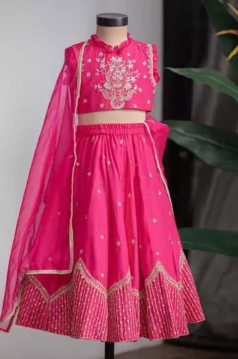 Rani pink embroidered dola silk lehenga set