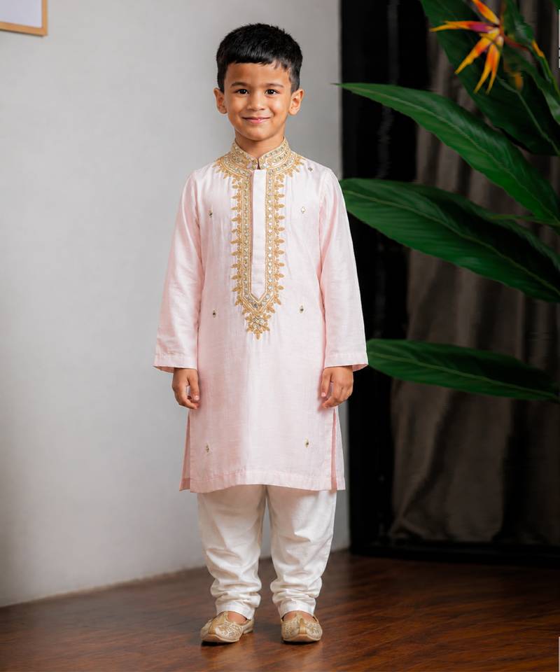 Pink embroidered dola silk kurta set