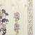 Floral Printed Beads & Stones Pure Cotton Kurta With Trousers & Dupatta