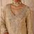 Gold embroidered silk tissue anarkali set