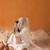 Off White Ethnic Motifs Embroidered Panelled Zari Kurta With Trousers & Dupatta