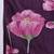 Women Floral Printed Pure Cotton Kurta with Trousers & With Dupatta