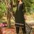 Floral Embroidered Organza Straight Kurta With Trousers & Dupatta
