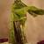Floral Printed Empire Pure Cotton Anarkali Kurta With Trouser & Dupatta