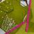 mehendi color embroidery and sequin work faux georgette kurti dhoti set