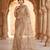 Women's rust net partywear saree with unstitched blouse