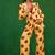 Yellow red printed imported crepe co ord set