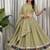 Olive Green Navratri Chaniya Choli