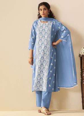 Sky blue embroidered vichitra silk straight 3