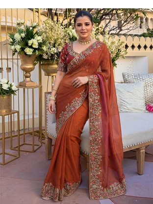 Rust tissue embroidery work saree with work blouse piece 2