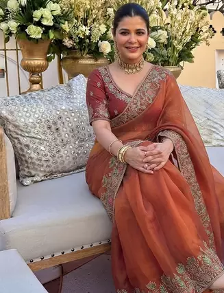 Rust tissue embroidery work saree with work blouse piece