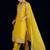Women Ethnic Motifs Embroidered Kurta with Trousers & Dupatta
