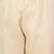 Women Self Design Kurta with Pyjama & Dupatta