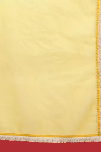Women Ethnic Motifs Embroidered Regular Mirror Work Kurta with Trousers & Dupatta