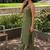 Women Ethnic Motifs Embroidered Regular Thread Work Kurta with Trousers