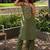 Women Ethnic Motifs Embroidered Regular Thread Work Kurta with Trousers