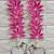 flower booti with cow hanging for decor your home  gifting  prosperity (pack of 2) (pink) 