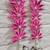 flower booti with cow hanging for decor your home  gifting  prosperity (pack of 2) (pink) 