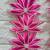 flower booti with cow hanging for decor your home  gifting  prosperity (pack of 2) (pink) 