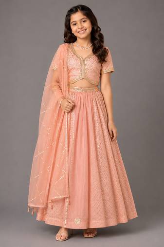 Peach embroidered organza chanderi lehenga set