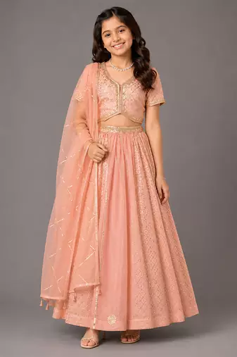 Peach embroidered organza chanderi lehenga set