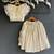 Off white chanderi organza lehenga set