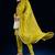 Women Solid Kurta with Trousers & Dupatta