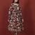 Floral Printed Round Neck Pure Cotton Anarkali Kurta With Trousers & Dupatta
