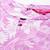 Floral Printed Keyhole Neck Pure Cotton Anarkali Kurta with Palazzos