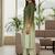 Women Ombre Dyed Regular Thread Work Kurta with Trousers