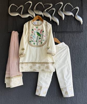 Off white baby pink embroidered velvet chanderi kurti set 2