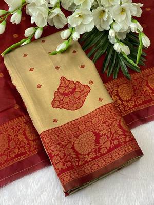 Chikoo top dyed weaving banarasi silk blend saree with blouse 2