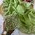 Pista coding embroidery work crunchy saree with blouse